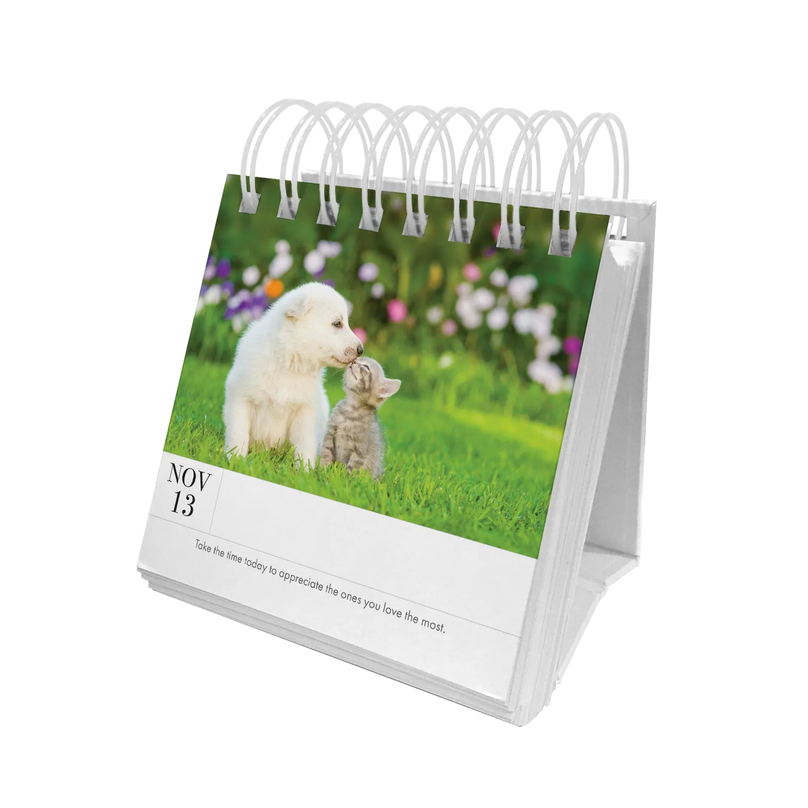 Animal 365 Calender