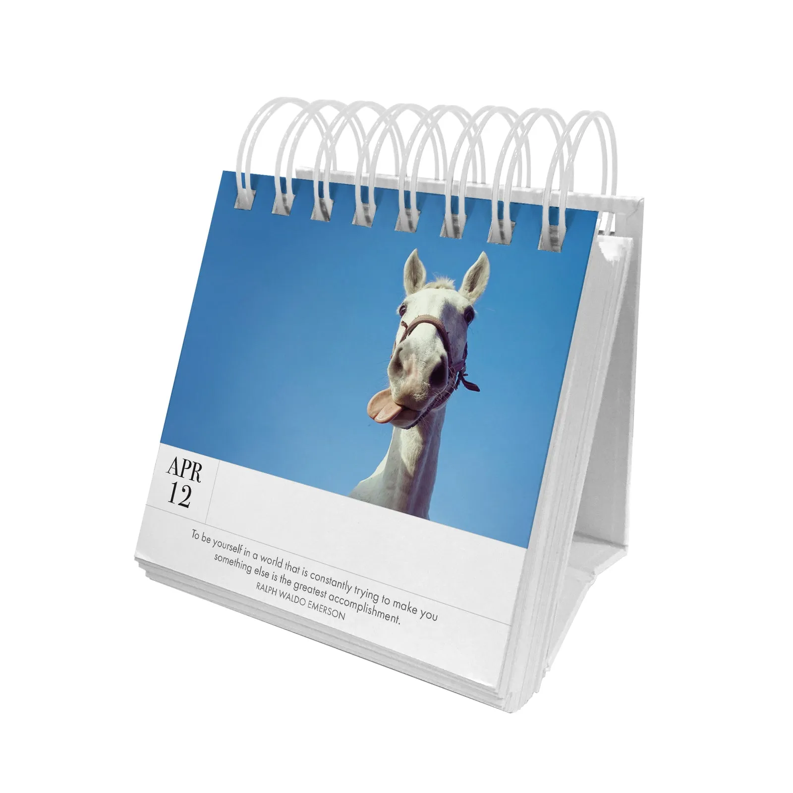 Animal 365 Calender