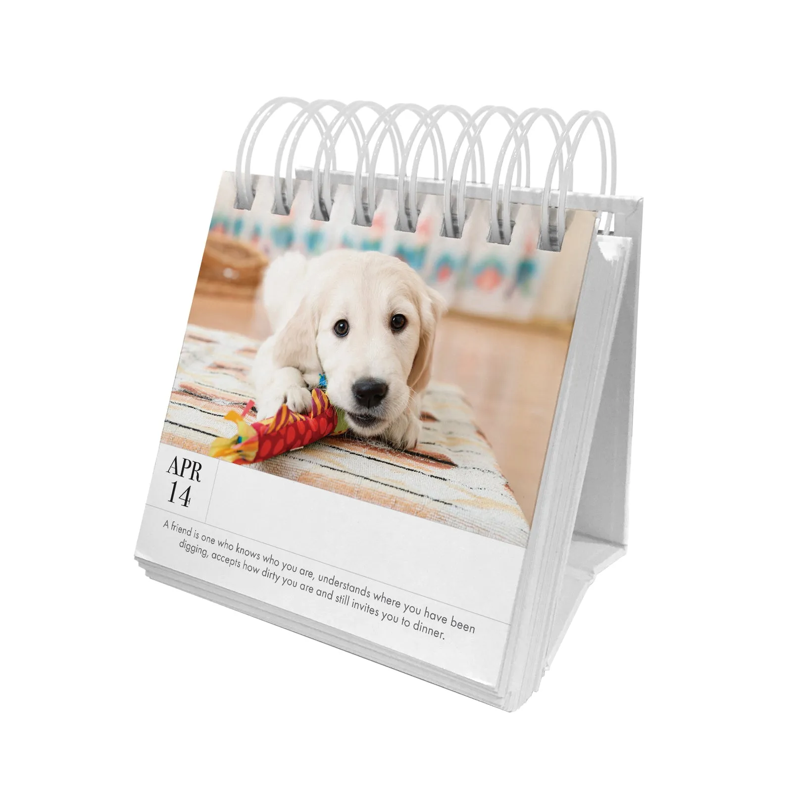 Animal 365 Calender