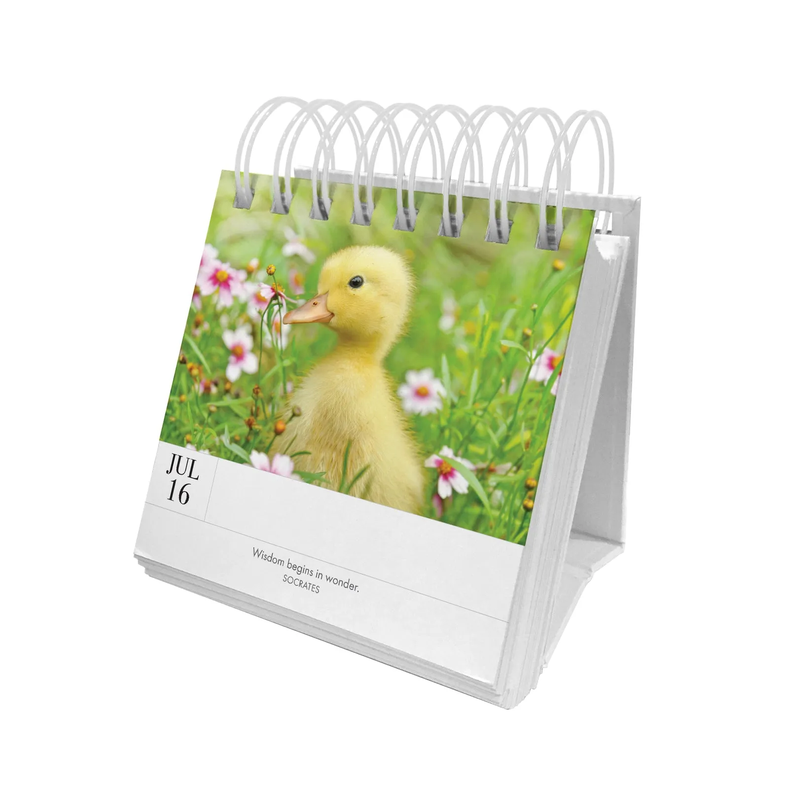 Animal 365 Calender