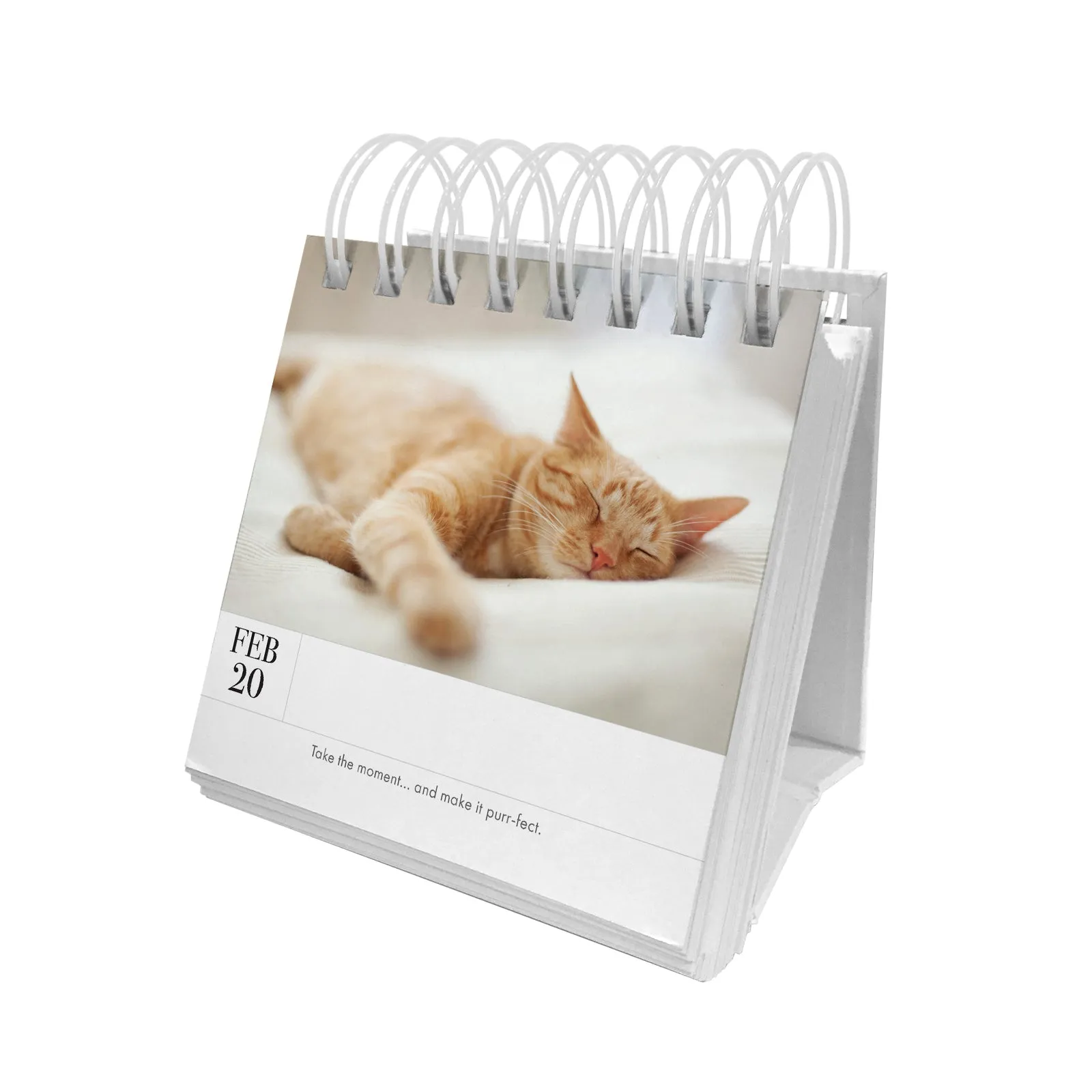 Animal 365 Calender