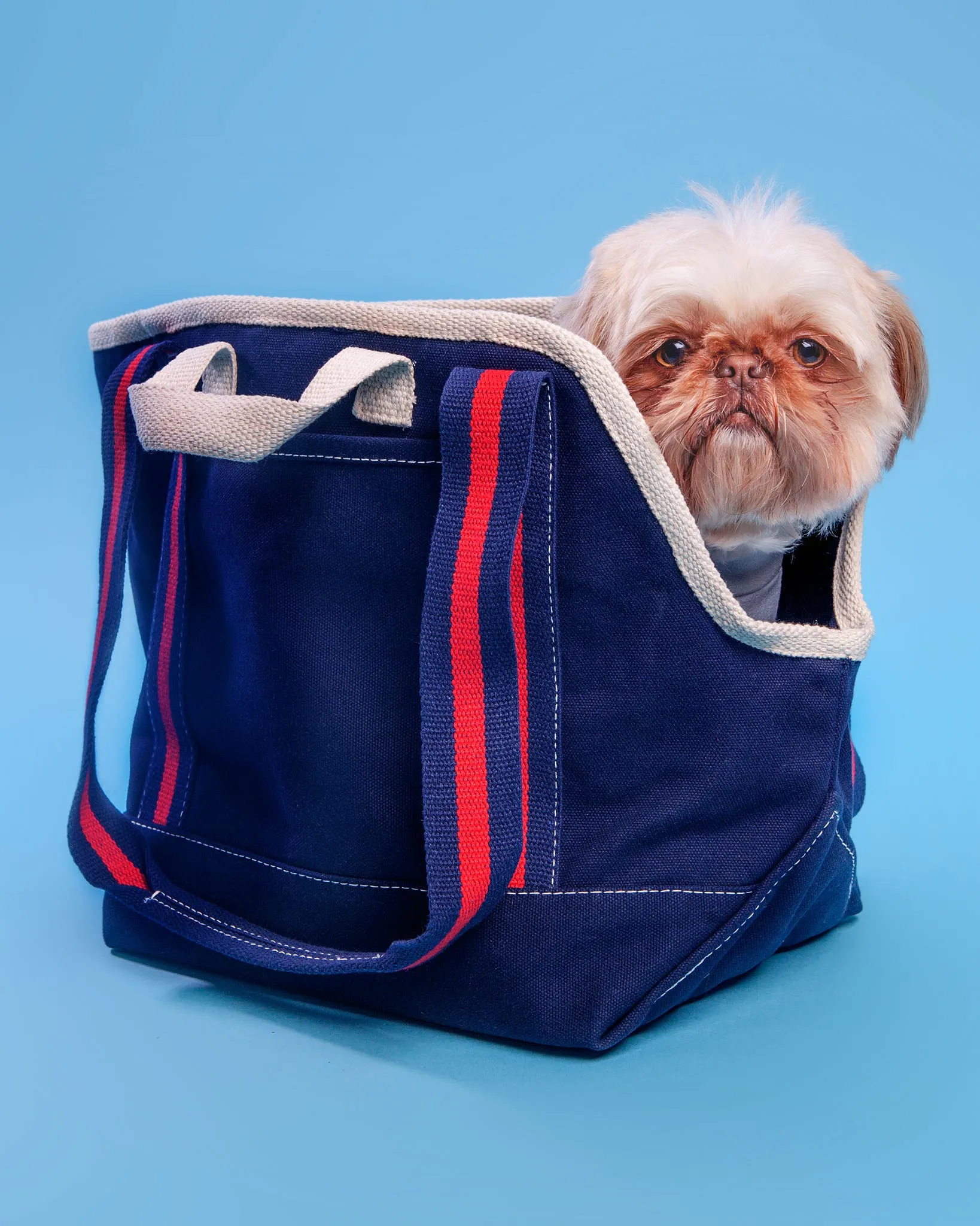 City Carrier Dog Bag in Size 1