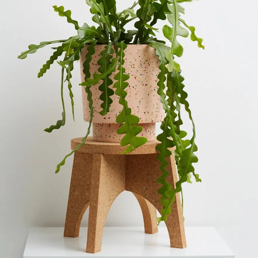 Cork Plant Stand