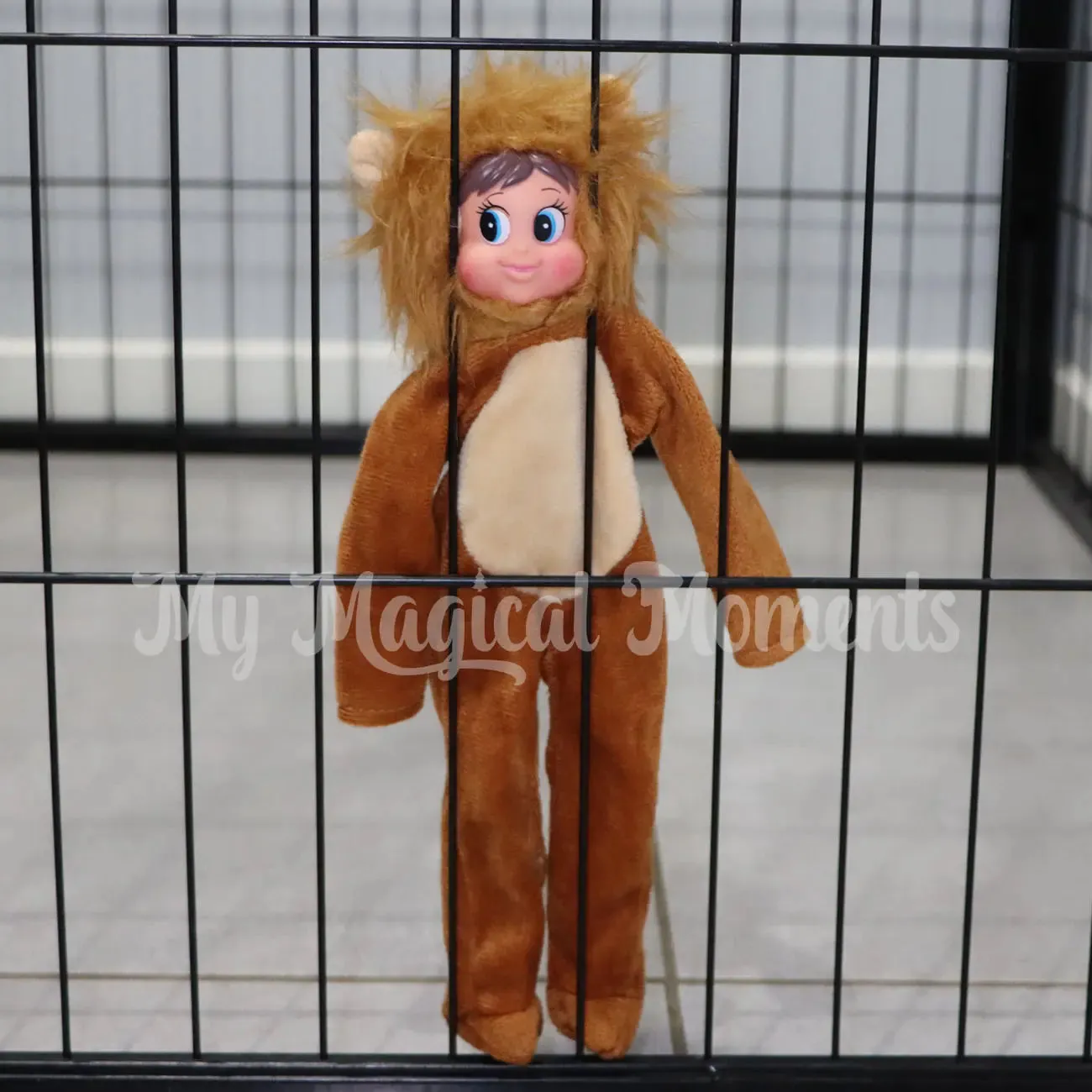 Costume - Lion