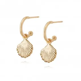 Isla Shell Drop 18ct Gold Plate Earrings SE06_GP