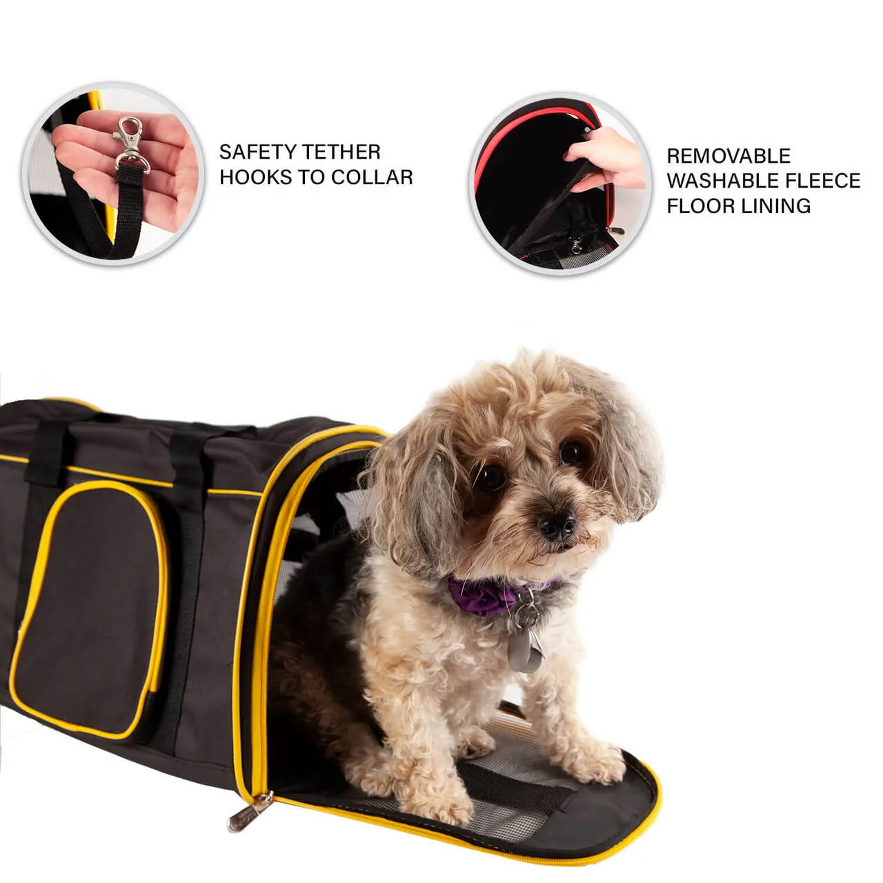 Pittsburgh Pirates 16" Premium Pet Carrier