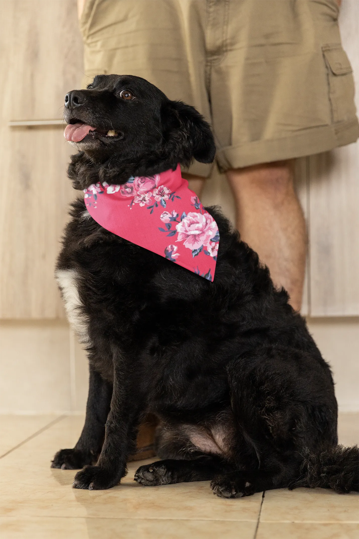 Rose Robe & Newborn Swaddle Blanket Set & Navy Dad T-Shirt & Dog Bandana